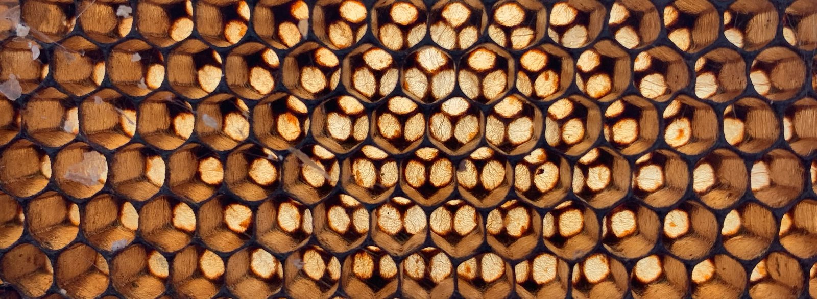 A close-up of a honeycomb structure with hexagonal cells, filled with a golden-brown substance.